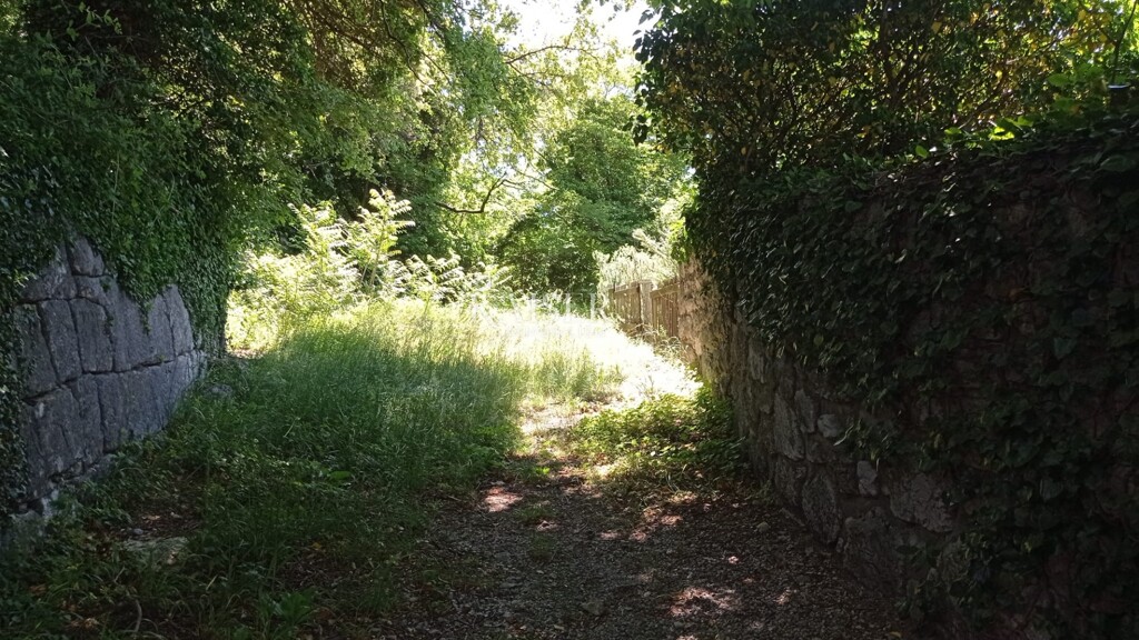 Image 5483952 - 5