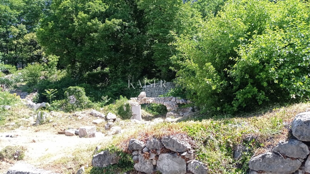 Image 5483952 - 3