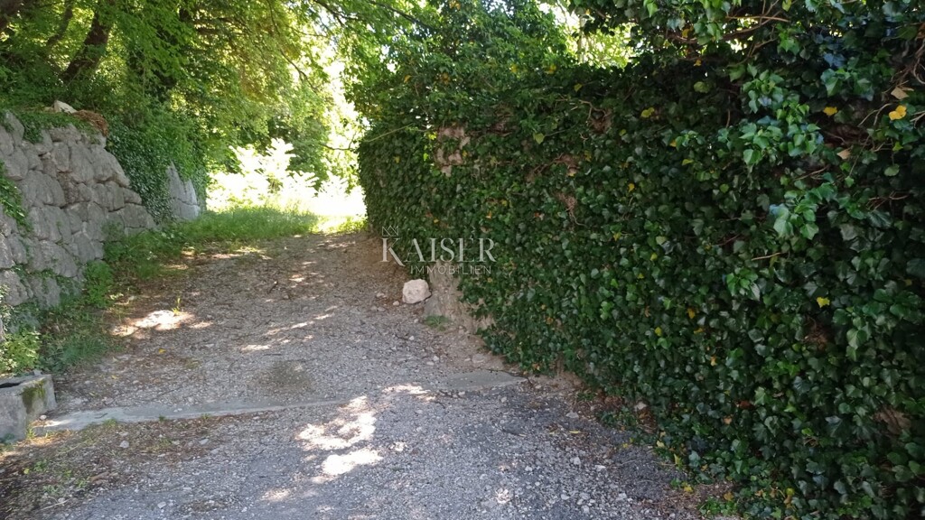 Image 5483952 - 7