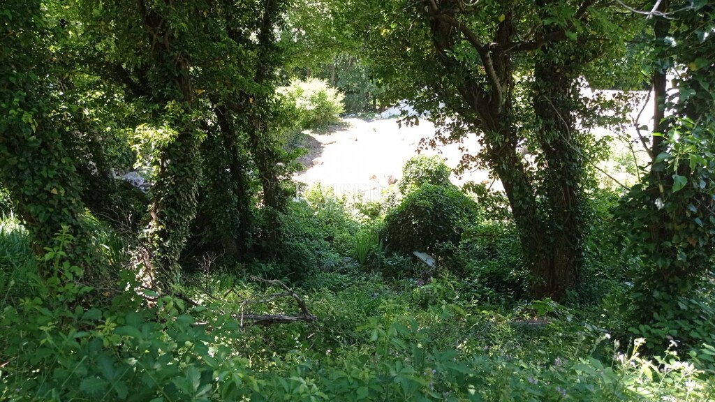 Image 5483952 - 4