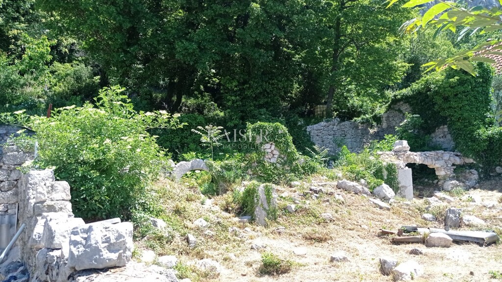 Image 5483952 - 2