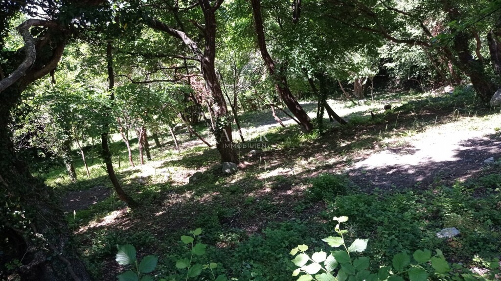 Image 5483953 - 3