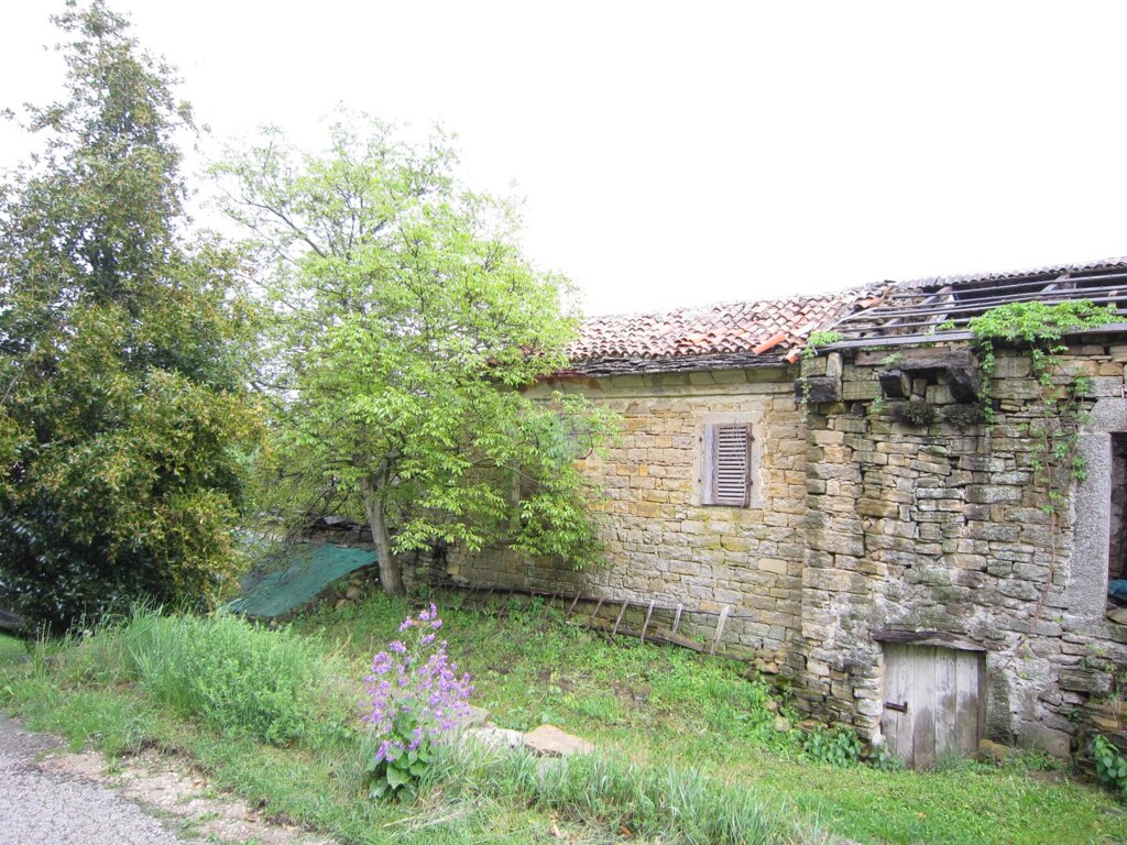 Image 5483994 - 5