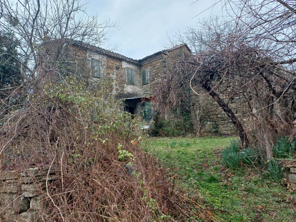 Image 5483994 - 4
