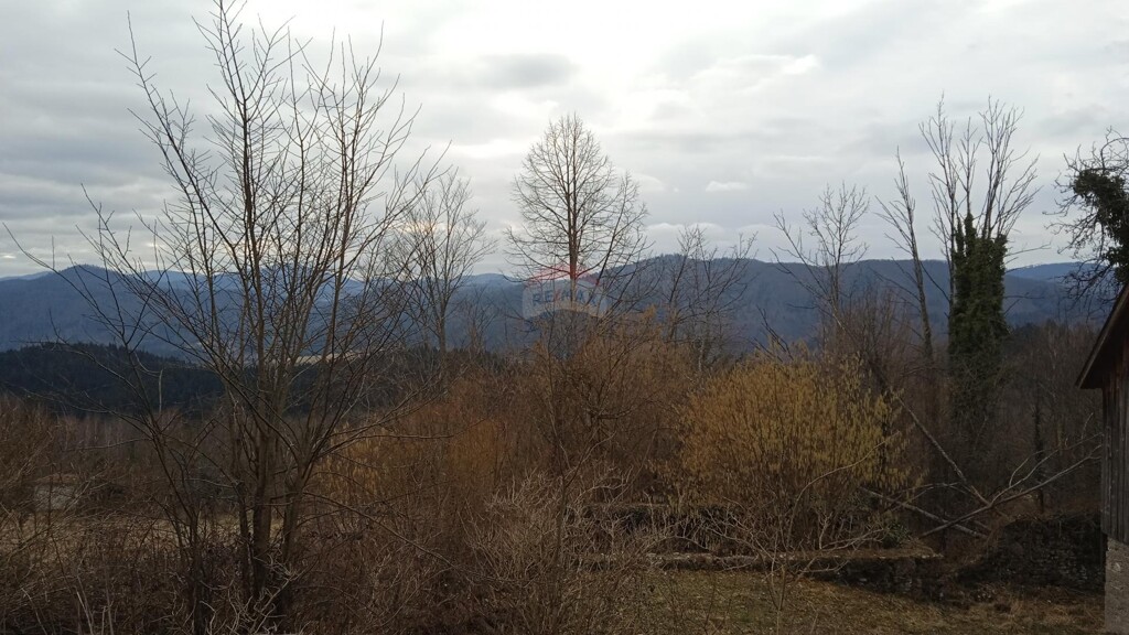 Image 5483998 - 1