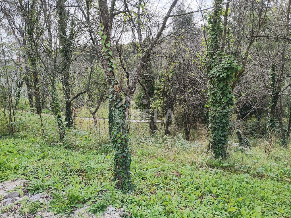 Image 5484024 - 6