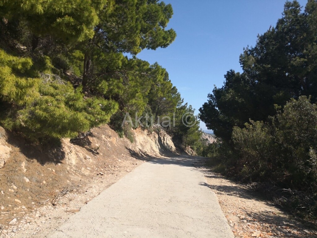 Image 5484466 - 6