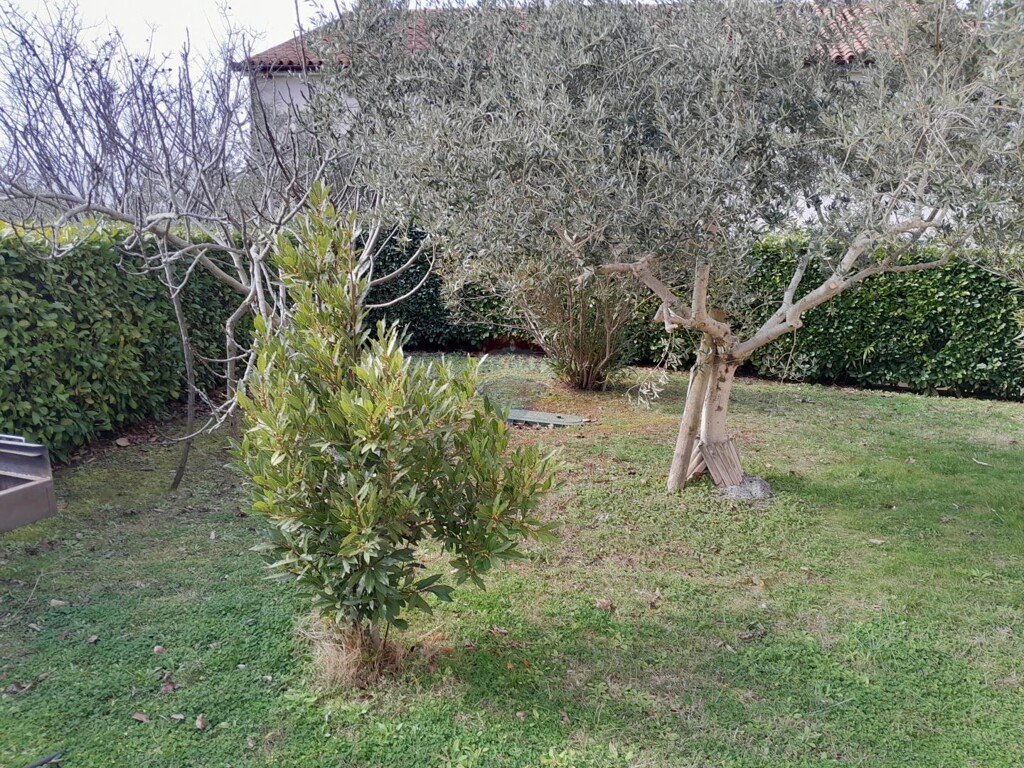 Image 5484640 - 3
