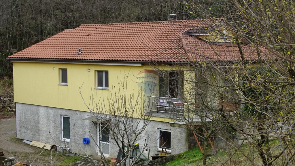 Image 5484642 - 1