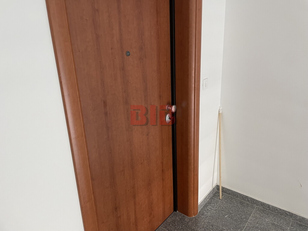Image 5484728 - 5