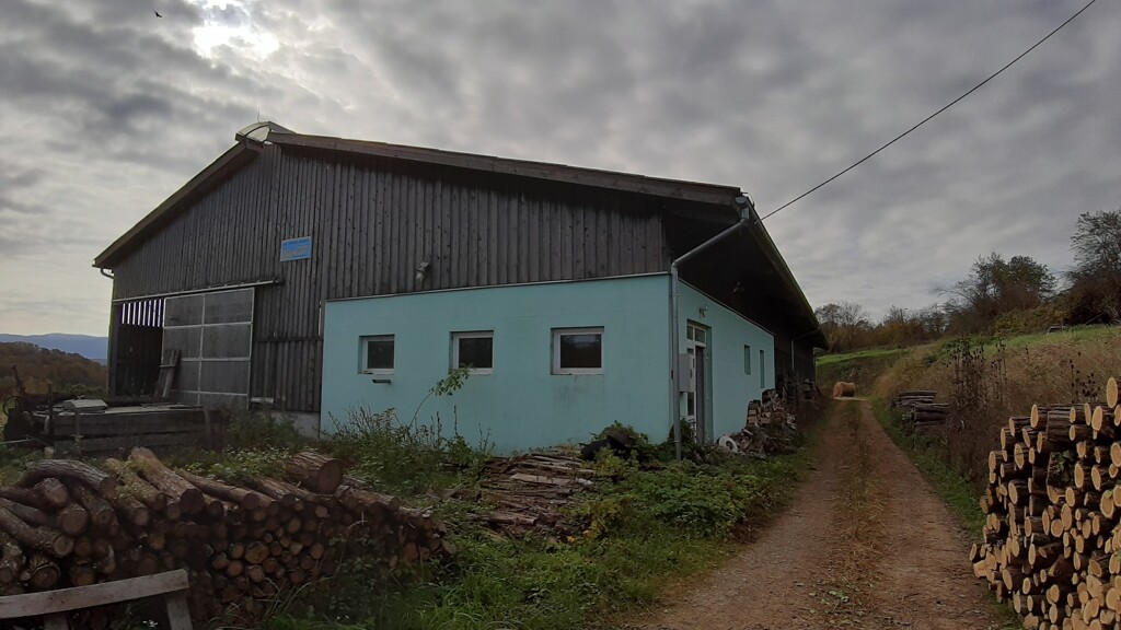 Image 5484833 - 2
