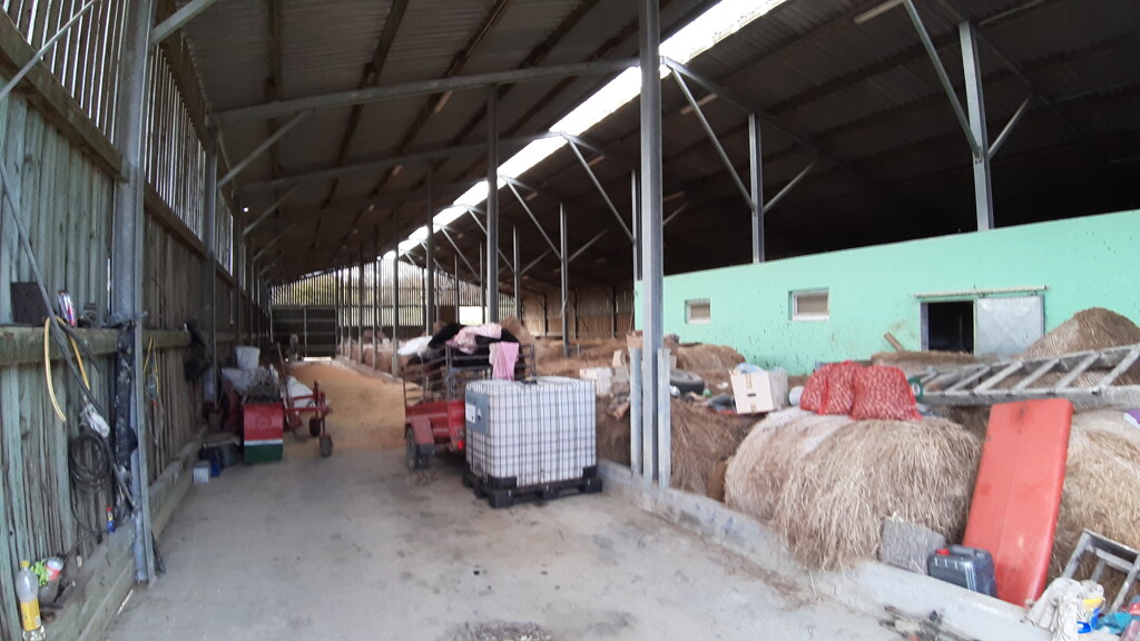 Image 5484833 - 7