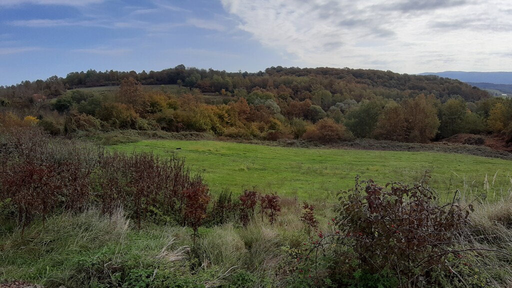 Image 5484833 - 13