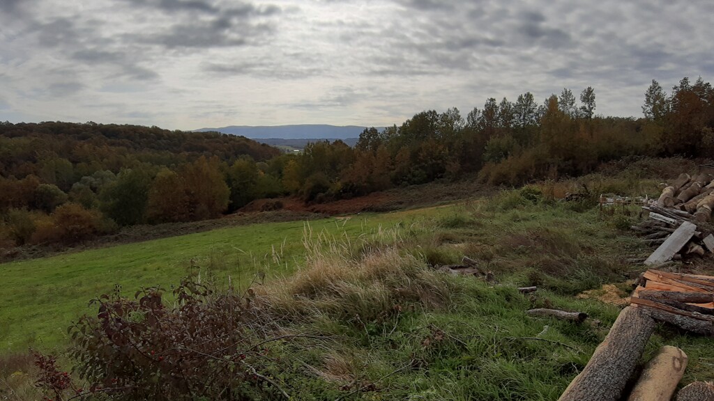 Image 5484833 - 11