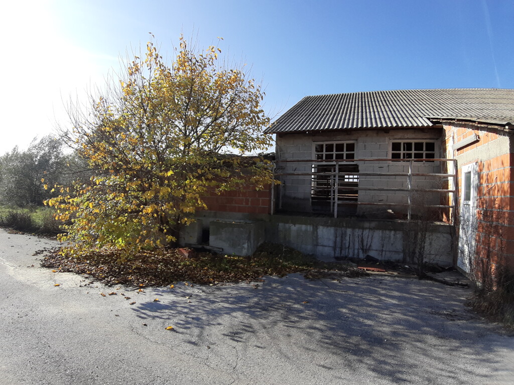 Image 5484848 - 6