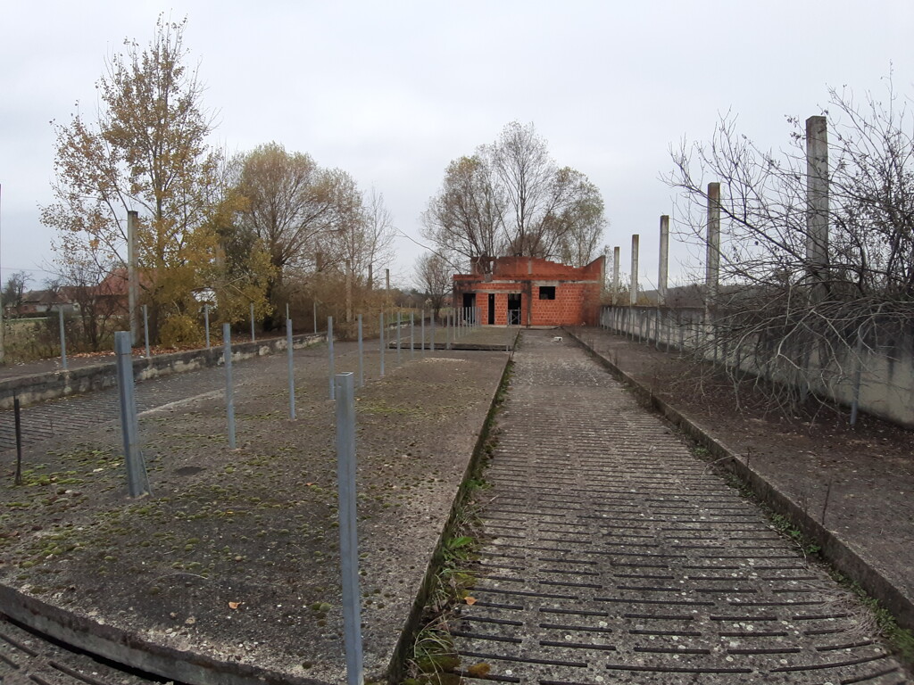 Image 5484859 - 5
