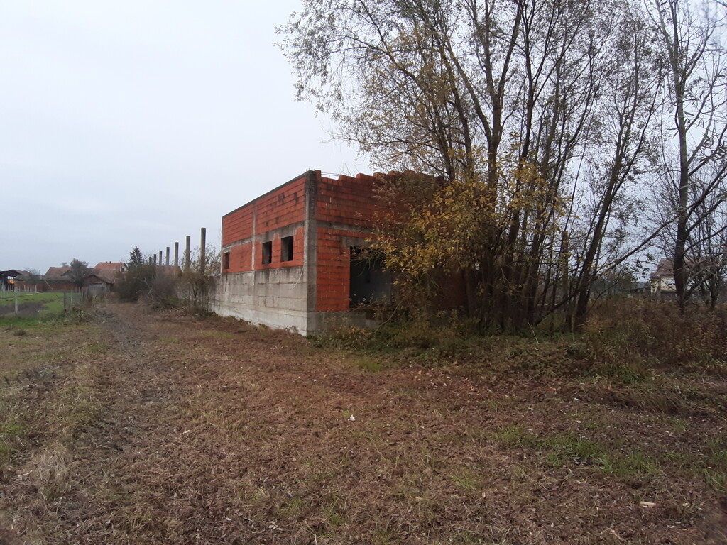Image 5484859 - 1