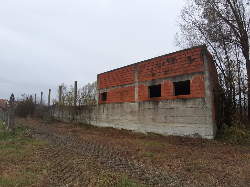 Image 5484859 - 3