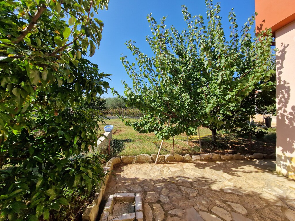 Image 5484861 - 6
