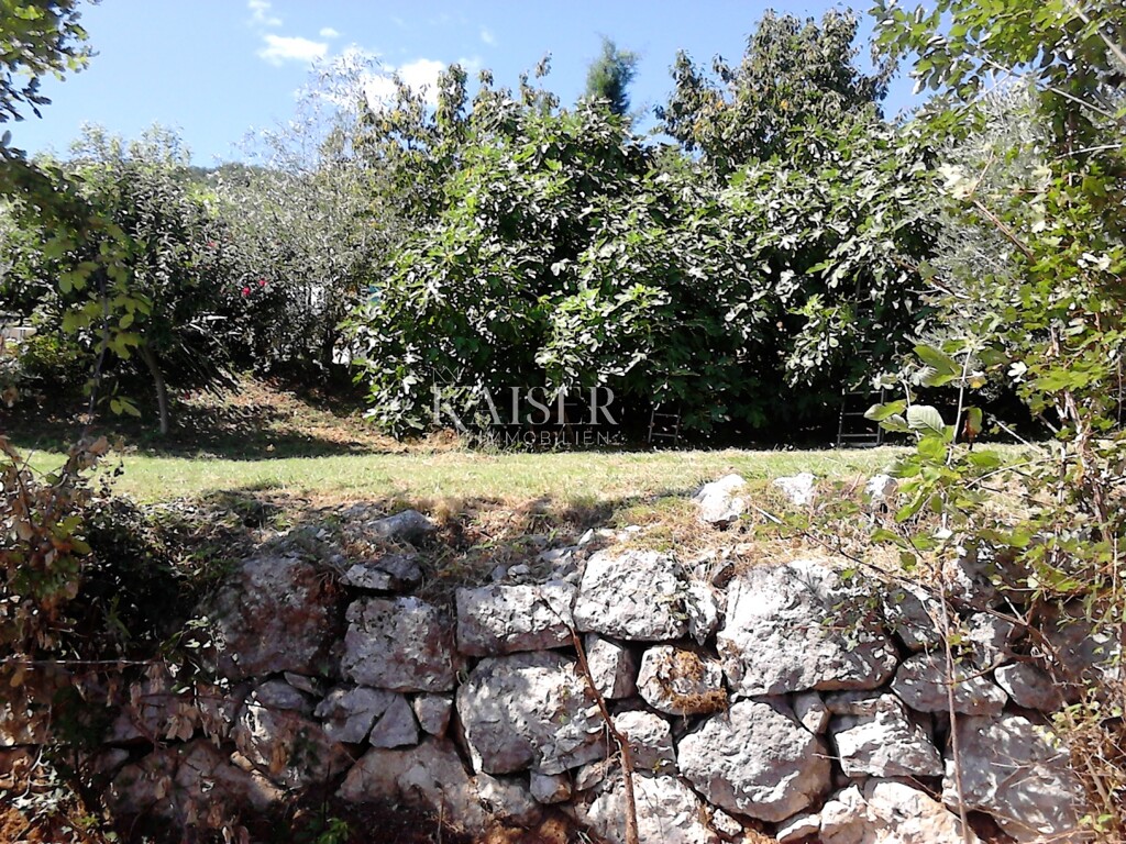 Image 5485416 - 1