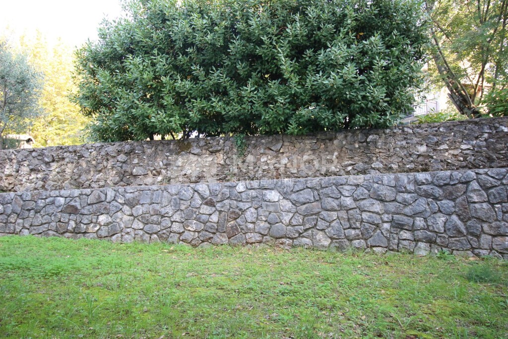 Image 5485831 - 17