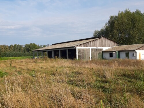 Farma goveda u Posavskim Bregima, Ivanić Grad, površine od 25.837 m2