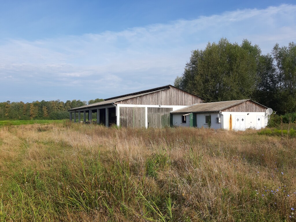Image 5485963 - 1