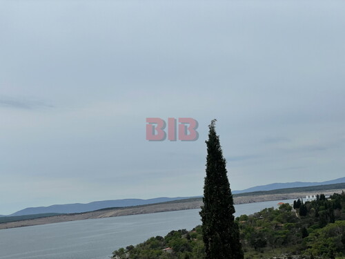 Thumbnail 5486156 - 5