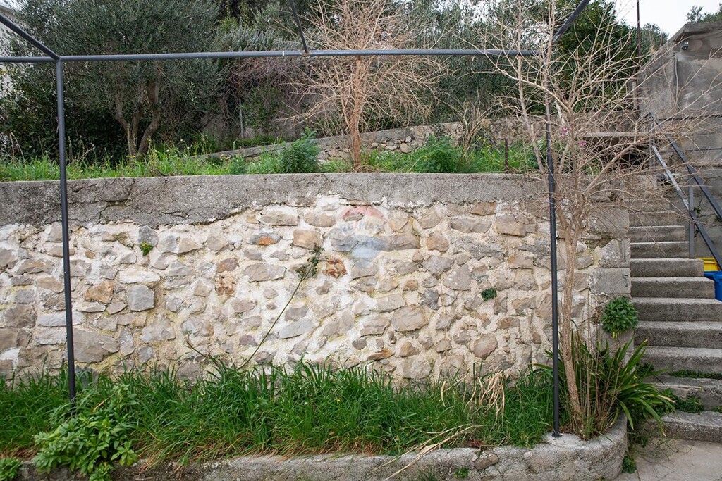 Image 5487019 - 3