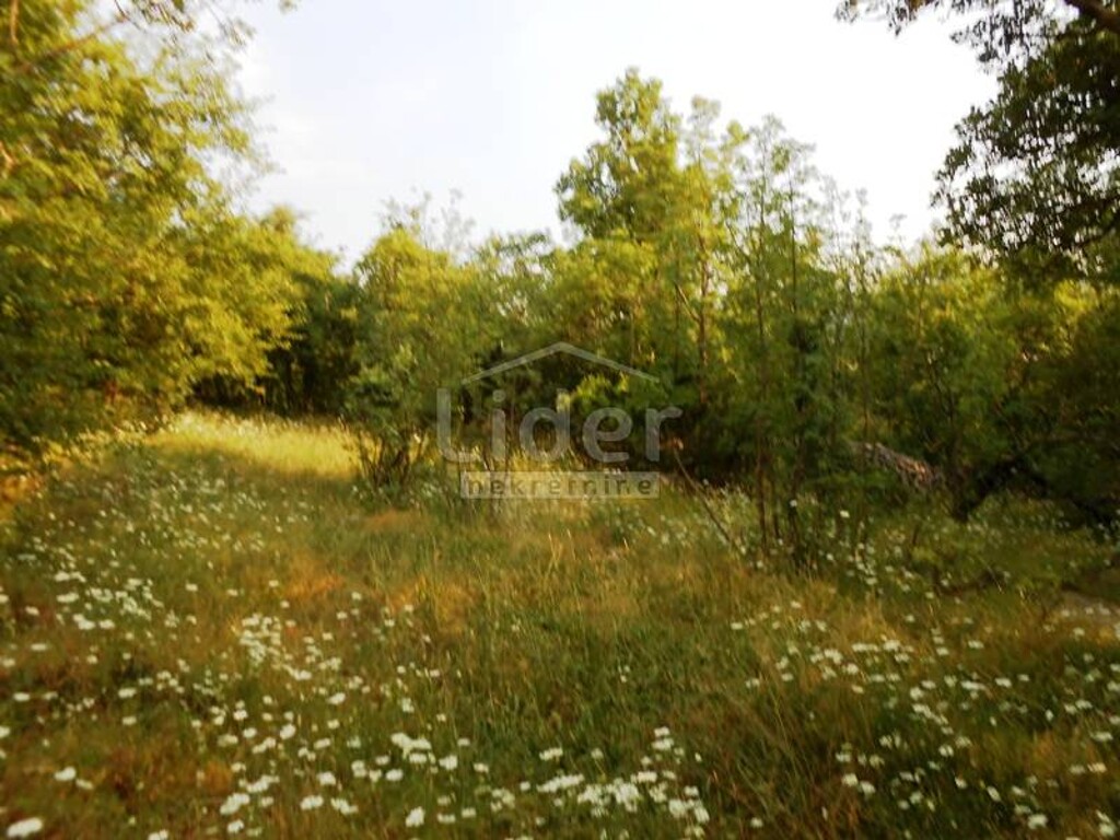 Image 5488135 - 2