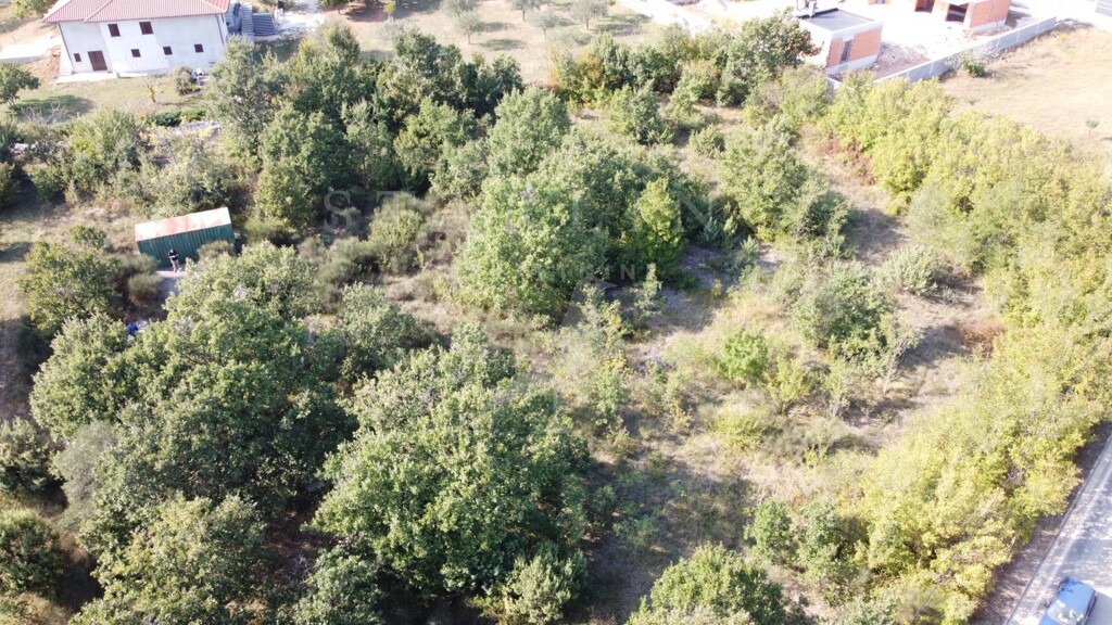 Image 5488157 - 6