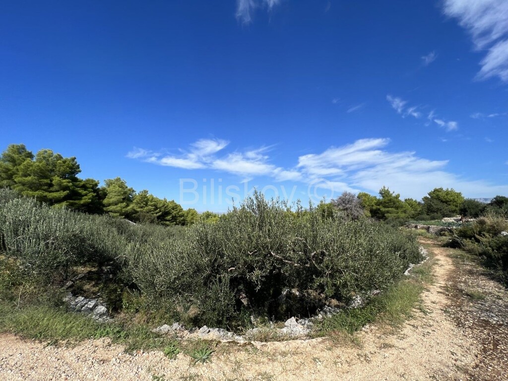 Image 5488228 - 4