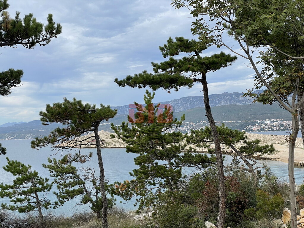 Image 5488885 - 2