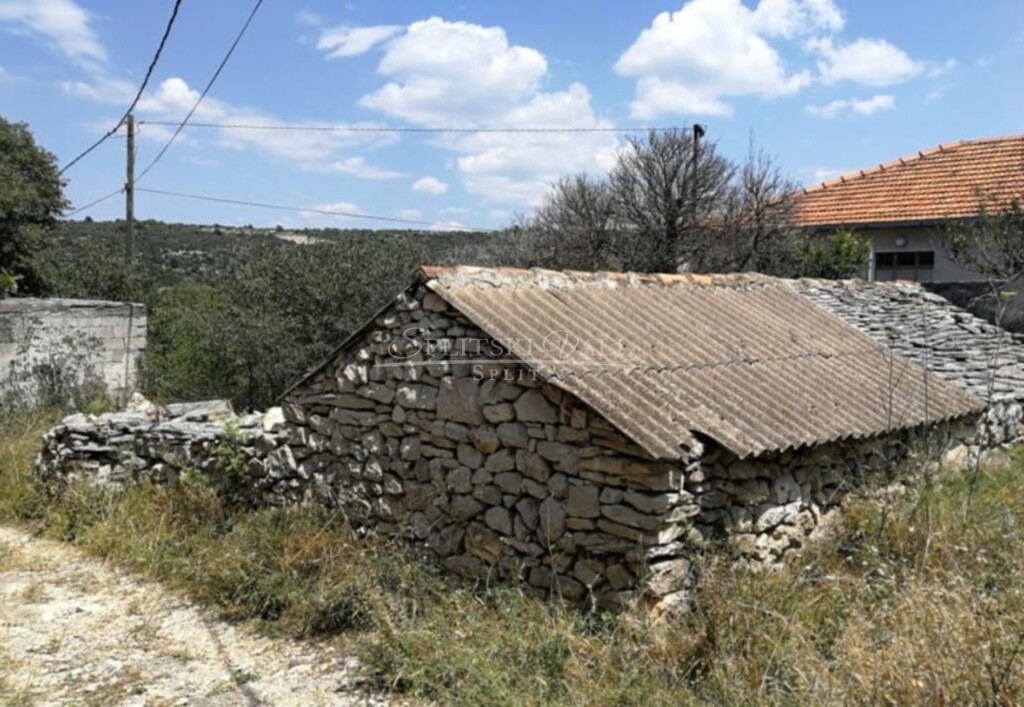 Image 5489004 - 4