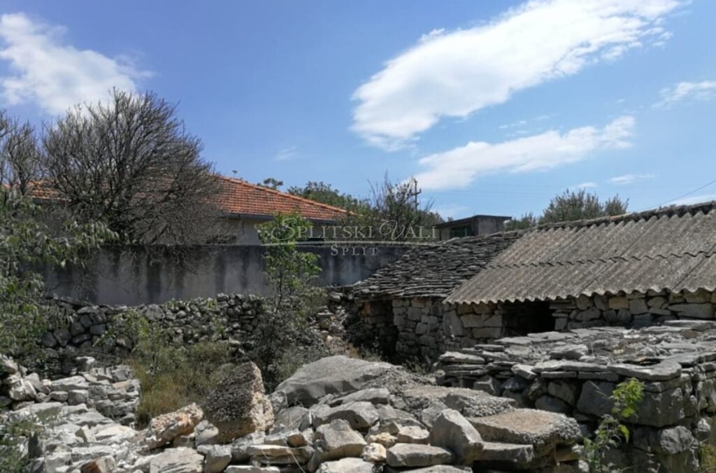 Image 5489004 - 1