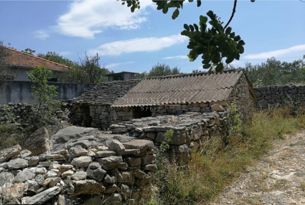 Image 5489004 - 3