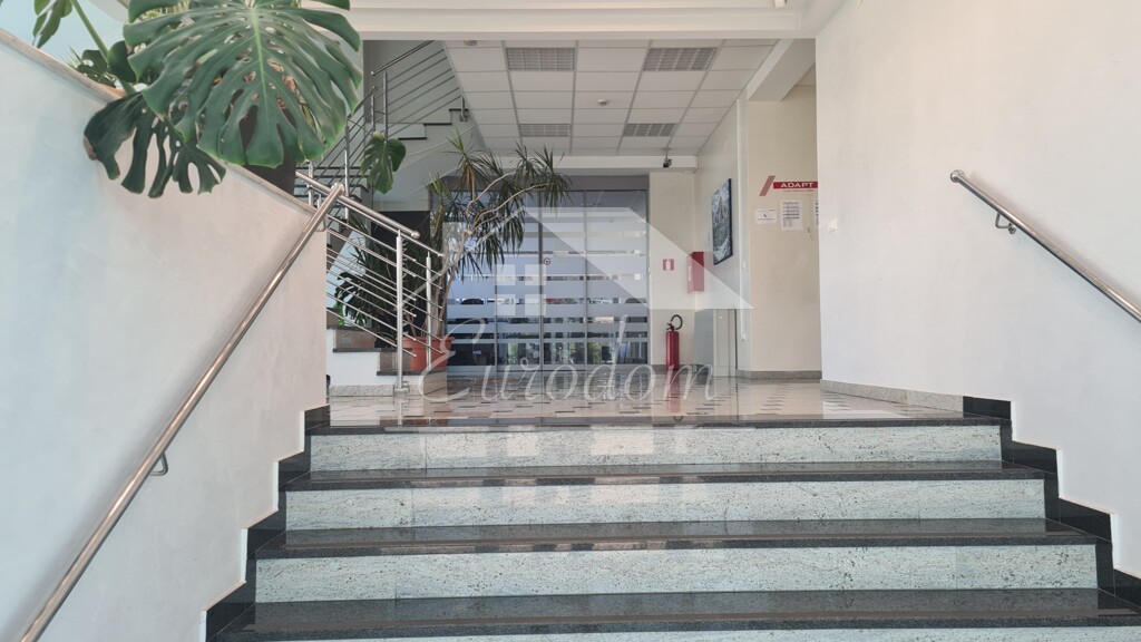 Image 5489411 - 3