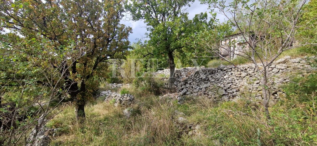 Image 5490016 - 6