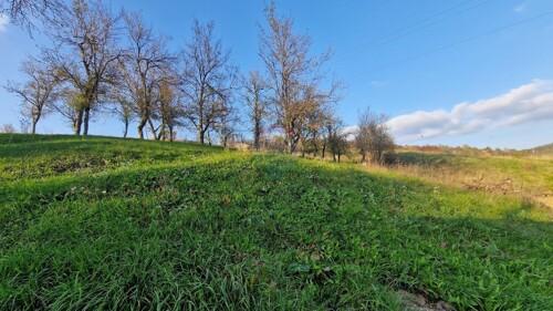 Thumbnail 5490182 - 6