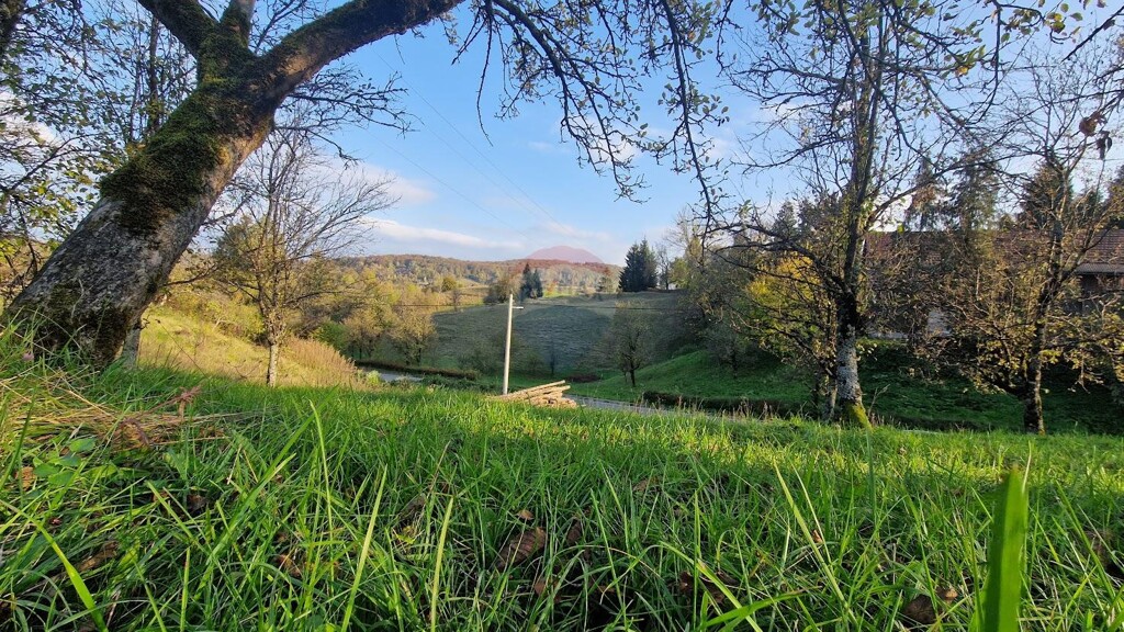 Image 5490182 - 2