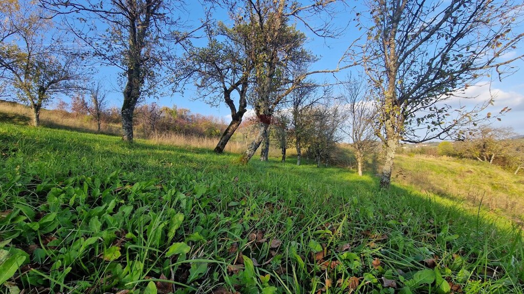 Image 5490182 - 3