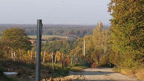 Thumbnail 5490186 - 2