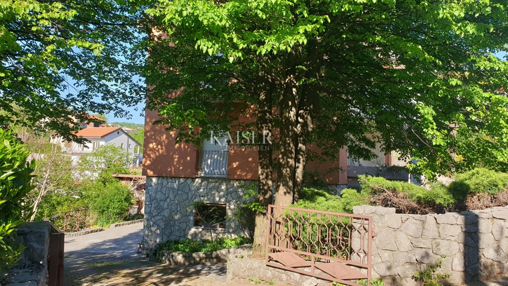 Image 5490454 - 4