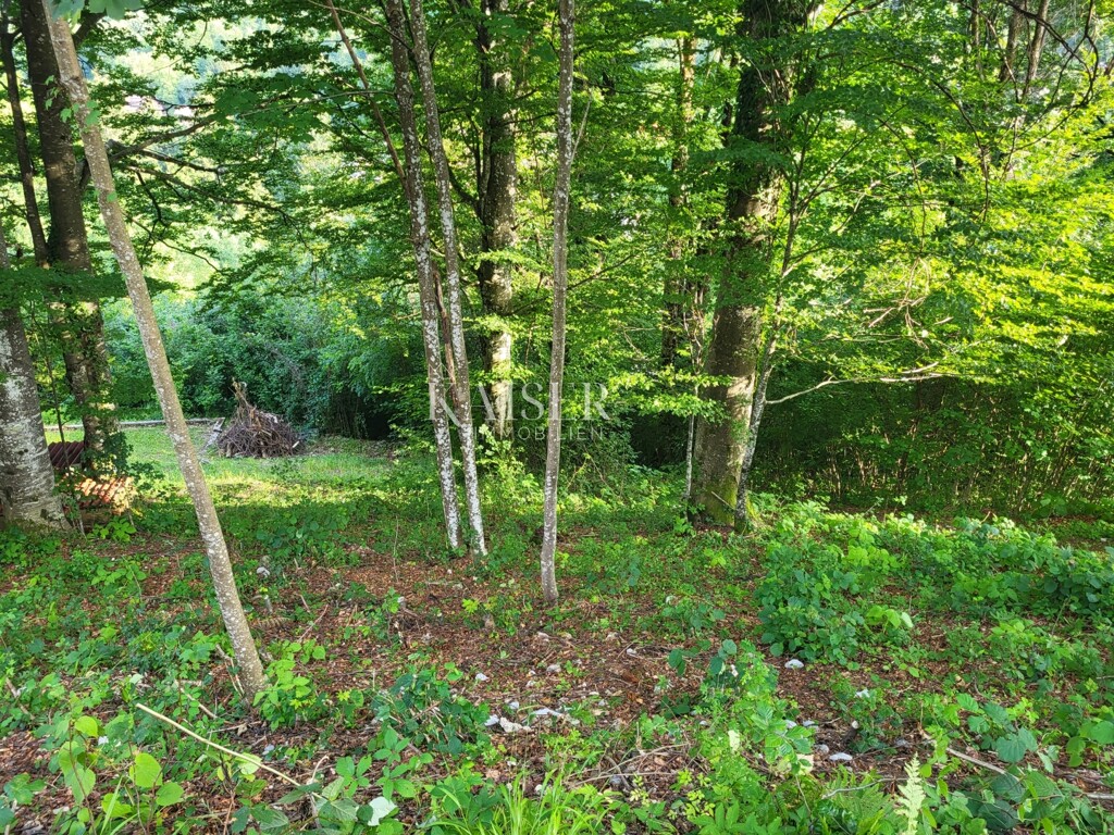 Image 5490457 - 11