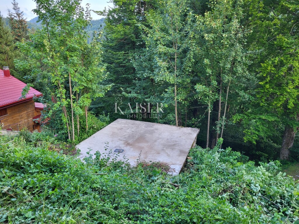 Image 5490457 - 3