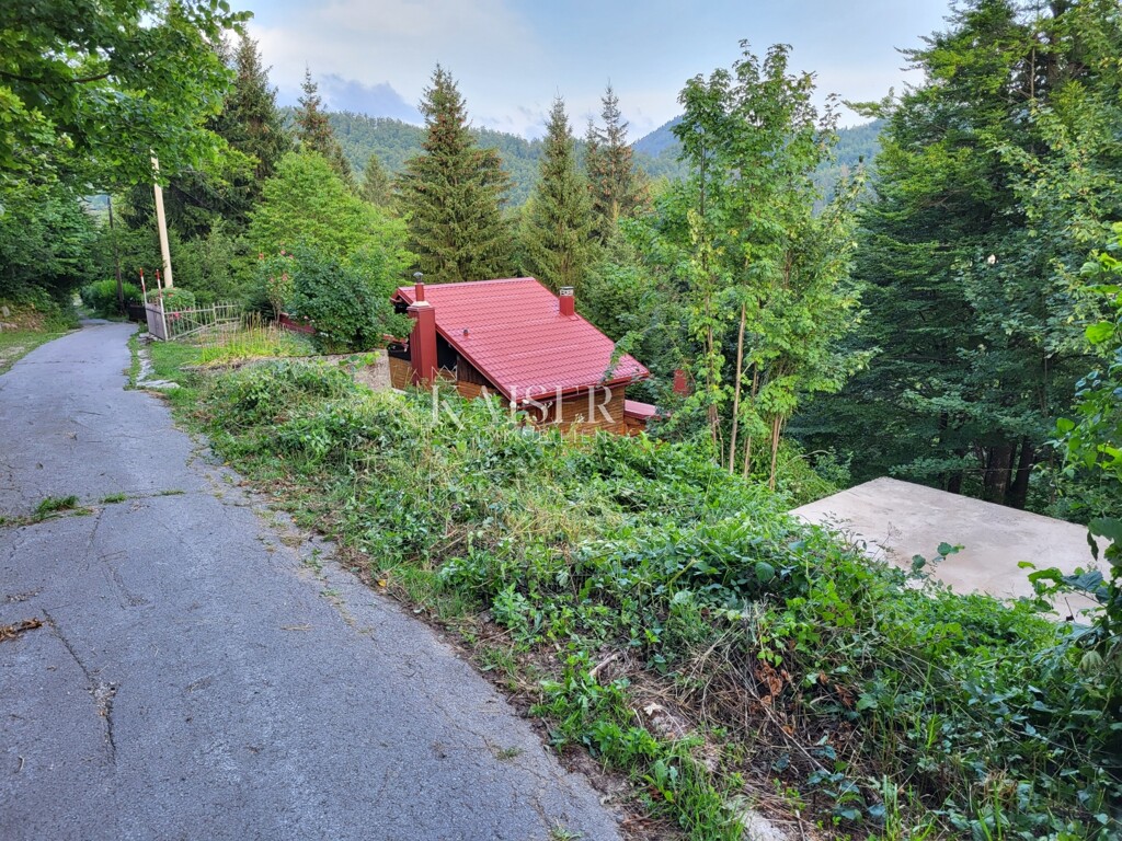 Image 5490457 - 2