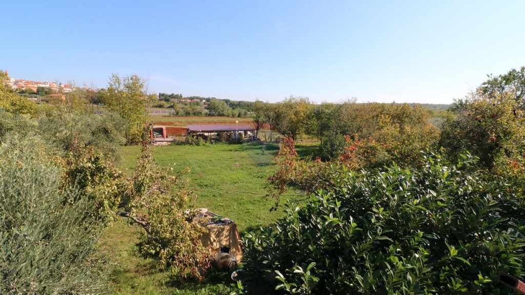 Image 5490487 - 5