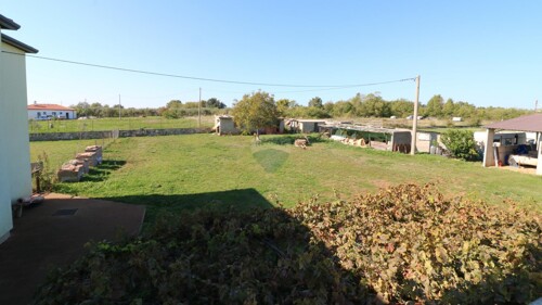 Thumbnail 5490487 - 6