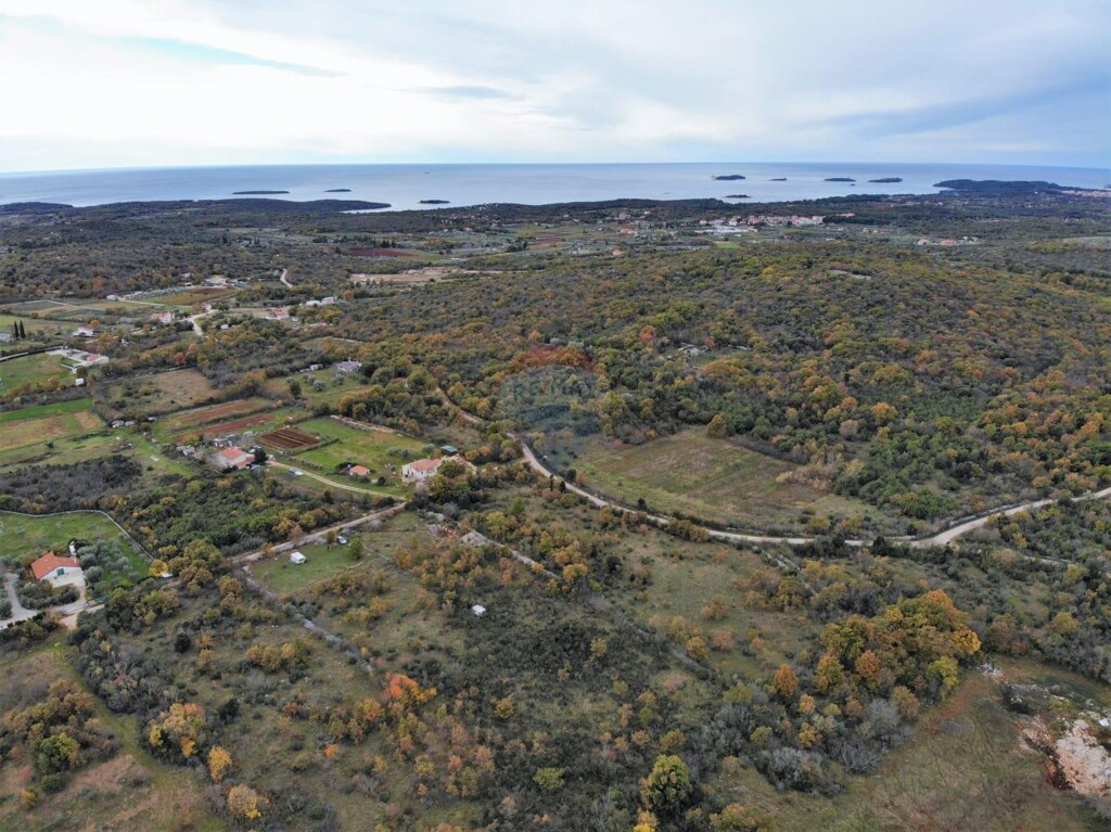Image 5490497 - 1
