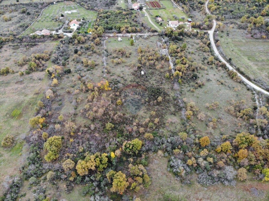 Image 5490498 - 1